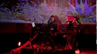 Steve Roach live in the Vortex Dome LA 2013