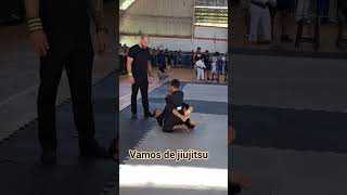 HOLAMBRA SUMMER  domingouuu #bjj #criança #jiujitsu #guardaaranha#triangulo