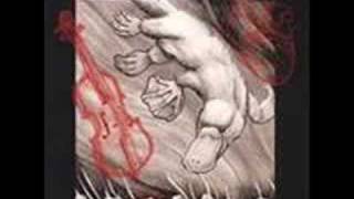 Flobots-Rise w/lyrics