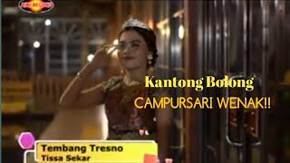 Download lagu Tembang Tresno - Tisa Sekar (Kantong Bolong) mp3