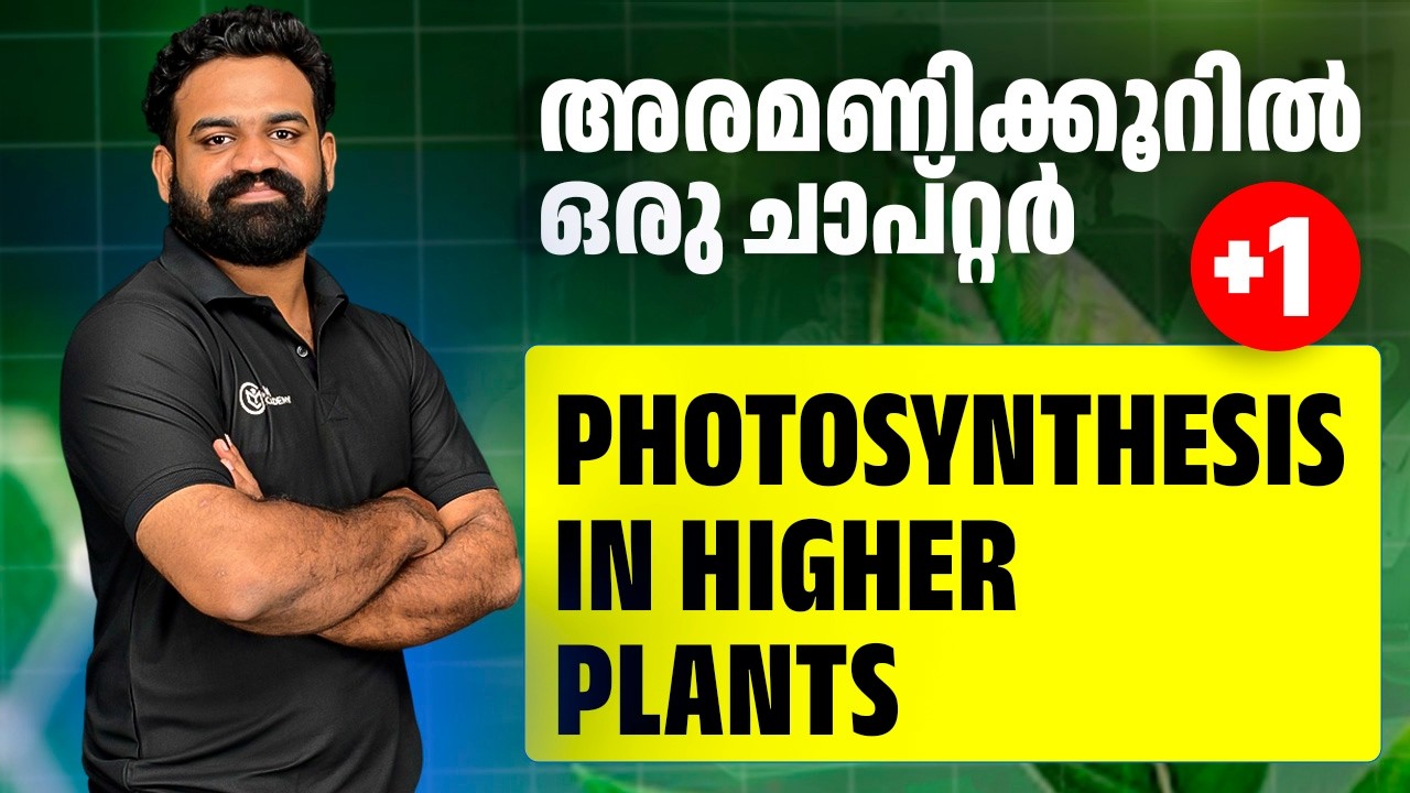 Photosynthesis in Higher Plants | Biology | One Shot
