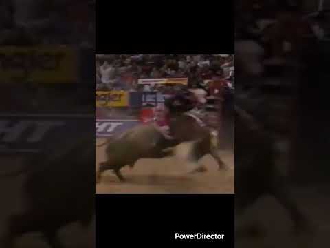 Chris Shivers rides Trick Or Treat for 96 points, almost perfect #cowboys #bullriding #rodeo