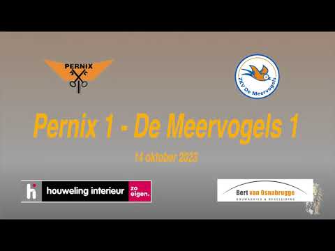 Pernix 1 - de Meervogels 1