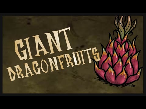 Don't Starve Together: Growing Giants - Dragonfruit