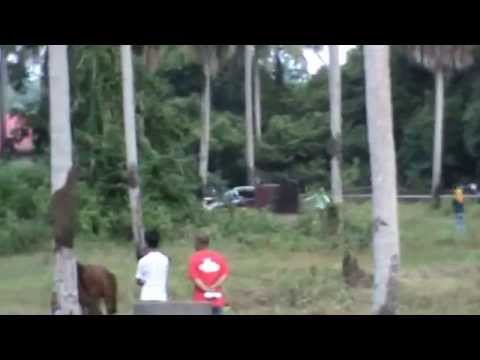 Akhir Kuda PADI A - 22 Ogos 2014 @Trek Lacor