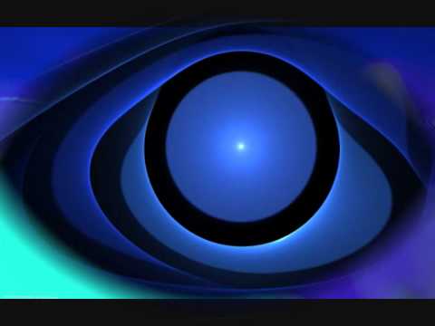 Urban Species~Blanket