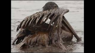 HELLKRUSHER-The end / Darkside