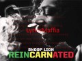 Snoop Lion feat. Angela Hunte - So Long (lyrics on screen)