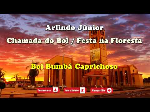 Chamada do Boi / Festa na Floresta - Boi Bumbá Caprichoso - Toada com Letra