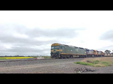 9146 Pacific National grain train at Scanlon‘s Road (22/9/2021)￼