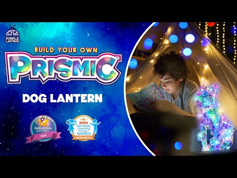 🌟 Purple Ladybug Prismic 3D Dog Lantern Instructions 🌟