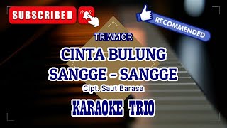 Download lagu CINTA BULUNG SANGGE-SANGGE - TRIAMOR || KARAOKE TRIO mp3 Download lagu CINTA BULUNG SANGGE-SANGGE - TRIAMOR || KARAOKE TRIO mp3