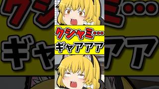 10秒後･･･猫がクシャミをした後、「うわあああっ！？」 #shorts #博麗霊夢 #ゆっくり茶番劇