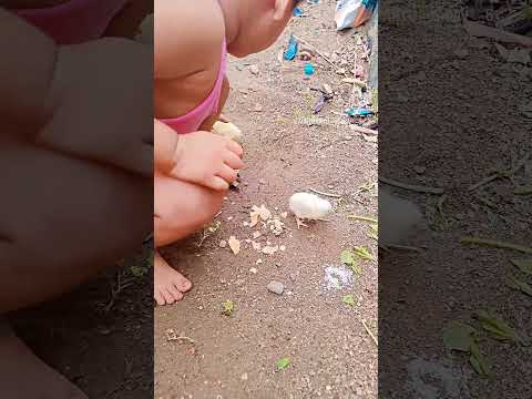 # thanika sa chahi tohar dil #me jagah 😍😍😜😜 please subscribe and comment 🥰🥰