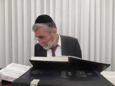 הרב יהושע ביבי - תשפ"ו - פסח - שיעור מס' 042 -  בשי' העה''נ שגד''א דישסו''ת נכנס באו''פ ובראיתו