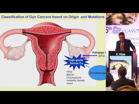 E. Vizza - How biology and genetics influence OC’s prognosis and therapy