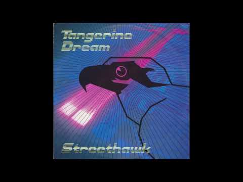 20/365  (EDGAR FROESE ANNIVERSARY TRIBUTE)  TANGERINE DREAM - STREETHAWK (RADIO REMIX) (1985)