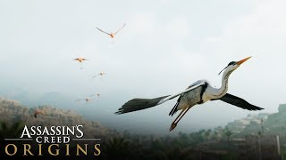 Assassin&#39;s Creed Origins -  Heron Feathers &amp; Flamingo Tongues Location (Where to FIND)
