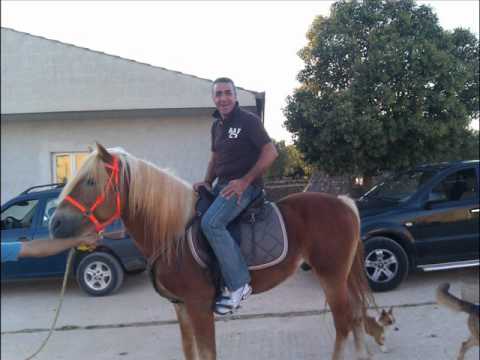 Nicolino - Coglioni dei Muli Scherzo - Prof. Bianchi