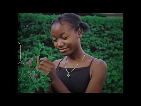 ZEEZO FT KEKE - WATENGA MUTIMA (VISUALIZER)