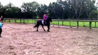 preview picture of video 'Paarden | Hoe Jij Kan Leren Paardrijden bij een fijne manege'