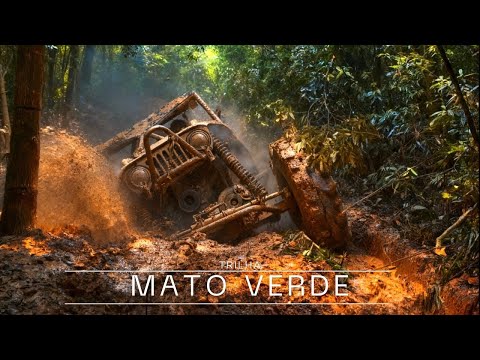 SÓ JIPE MONSTRO!! CUPIM DE FERRO NA TRILHA DO MATO VERDE-SC #toyota #willysjeep #4x4 #mud