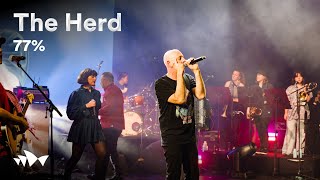 The Herd performs &quot;77%&quot; | Live at Sydney Opera House