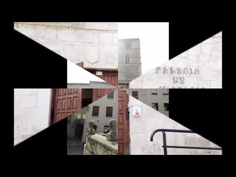 FUENTEPIÑEL (potra salvaje)