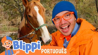 Blippi Conhece um Cavalo! 🐴 1 HORA DO BLIPPI BRASIL! 🟠 Vídeos Educativos para Crianças