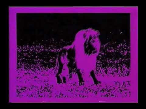 CV Vision - Parallel Universum (Official Video)