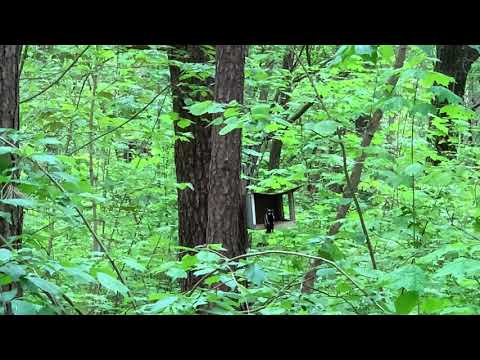 Genys Pasakų parke. 2020-05