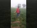 Kanda Chor Mere Desh Me Kanda Chor Tech Shobhit Short Ytshort