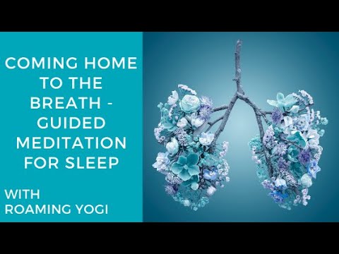 Coming Home to the Breath - Guided Meditation for Sleep