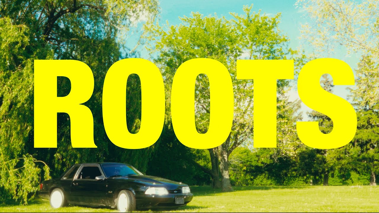 Roots Lyrics | Sardara