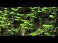4K Japan Prajna-Paramita Hrdaya Sutram - Imee ...