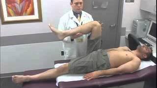 Hamstring Flexibility Testing