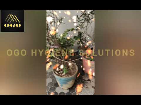 09/03/23 Drill treatment work completed.