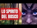 Lo Spirito Del Bosco