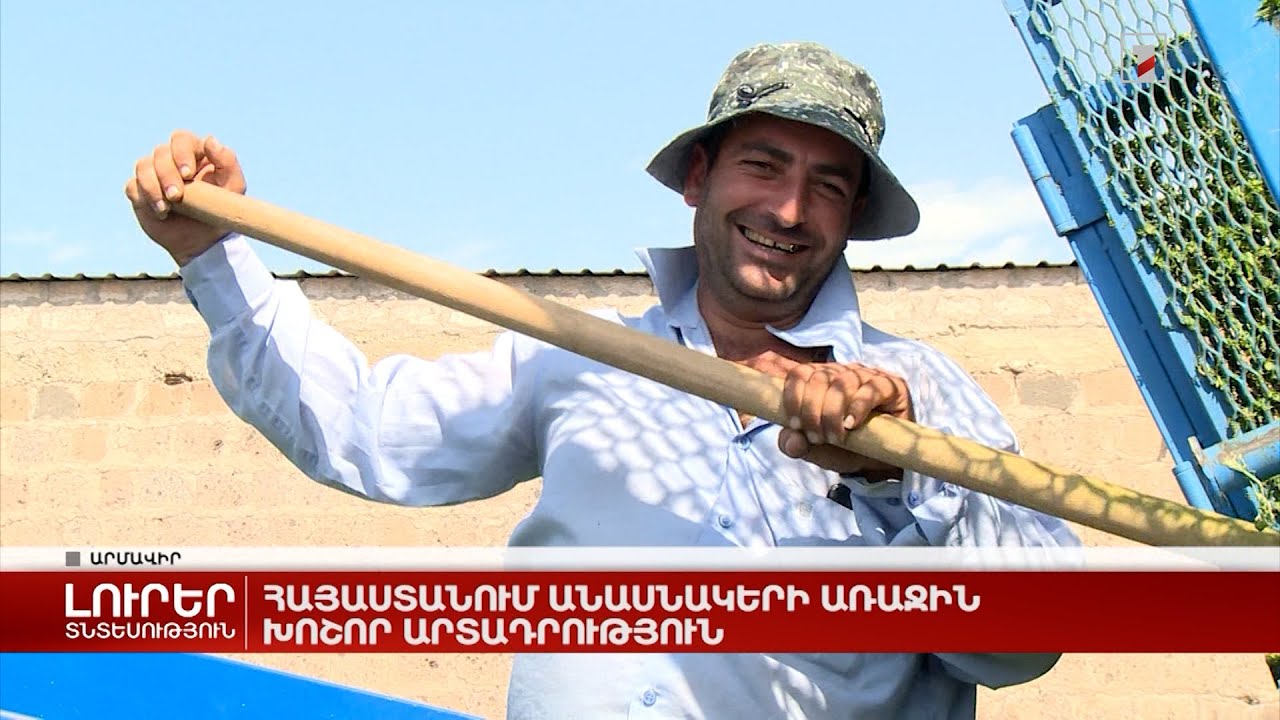 Հայաստանում անասնակերի առաջին խոշոր արտադրություն