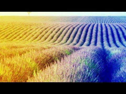 Restaurador De Coraçõe - Sérgio Lopes
