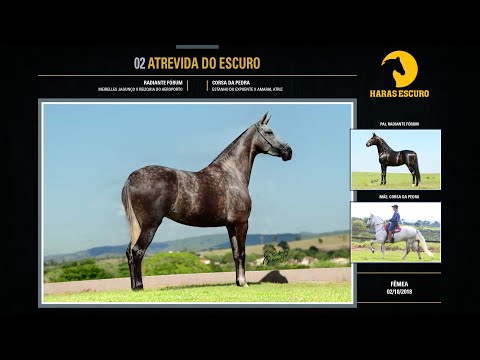 02 Atrevida do Escuro