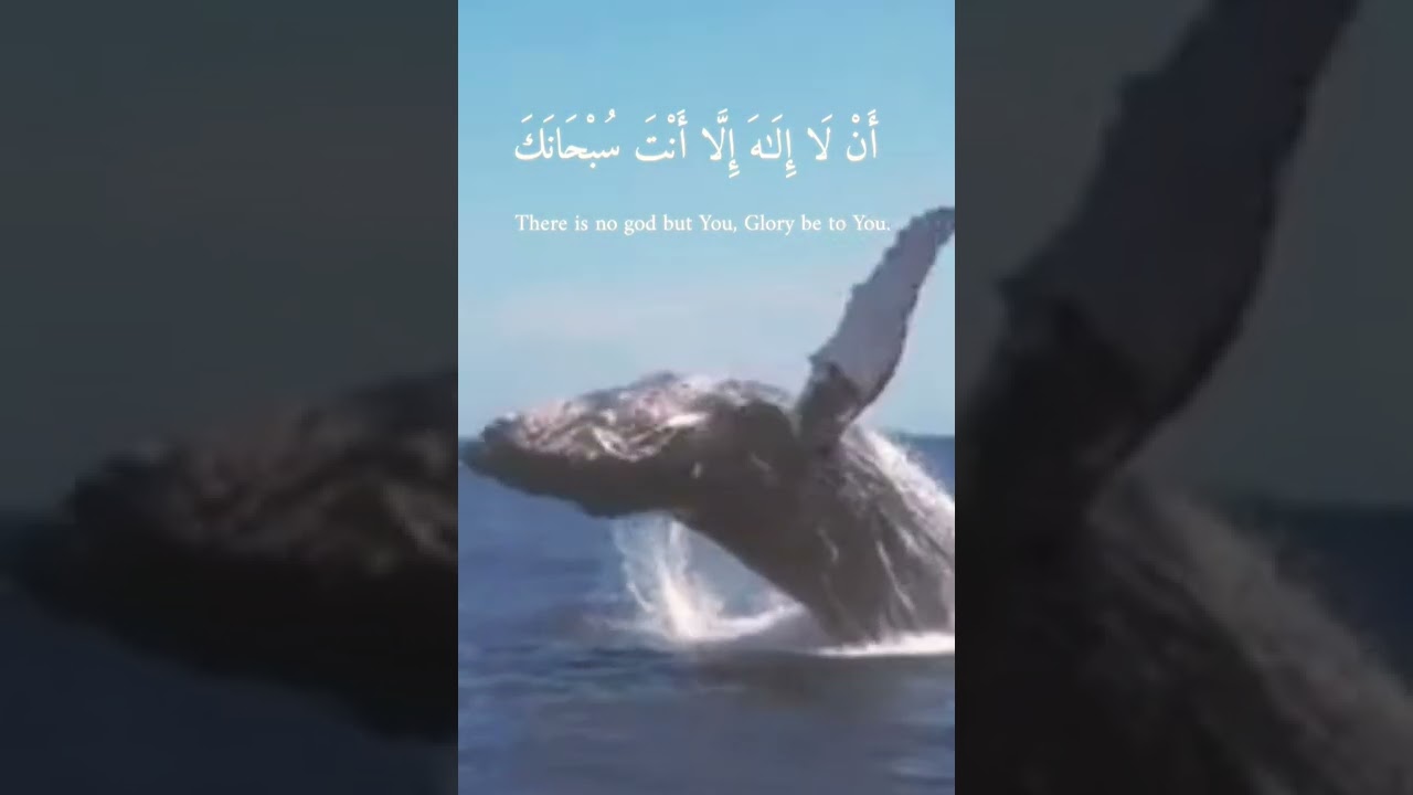 و ذ ا الن ون إ ذ ذ ه ب م غ