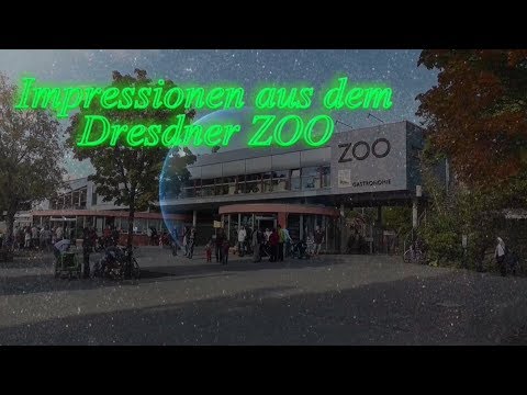 Dresdner ZOO: Zu Gast bei den Tieren der Welt