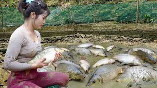 Harvesting Lots Of Big Fish in the Pond Goes To Market Sell | Nana Fishing