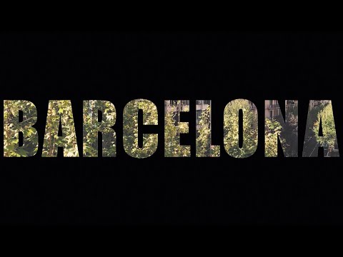 Pajaro Sunrise [Yuri Méndez] - Barcelona