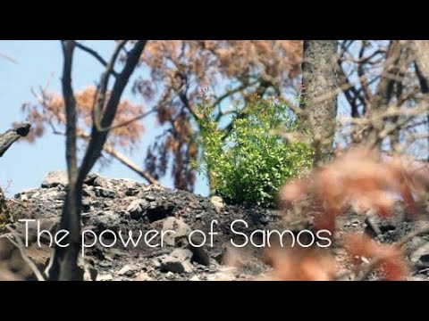 The power of Samos(Kokkari)
