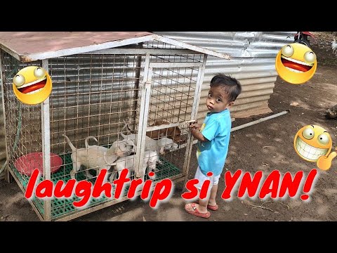 download lagu mp3 mp4 Siesta Time, download lagu Siesta Time gratis, unduh video klip Siesta Time