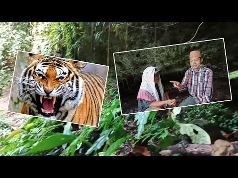 Mengunjungi Goa Sarang Harimau Talang Buai
