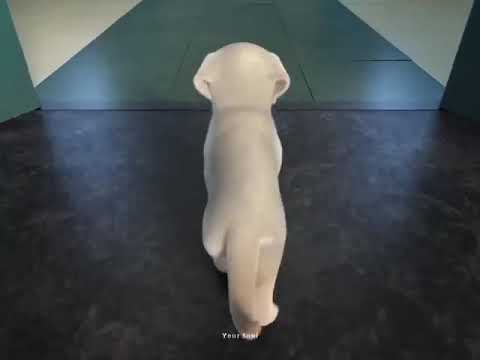 dog feeling 👍🏻🙄😭