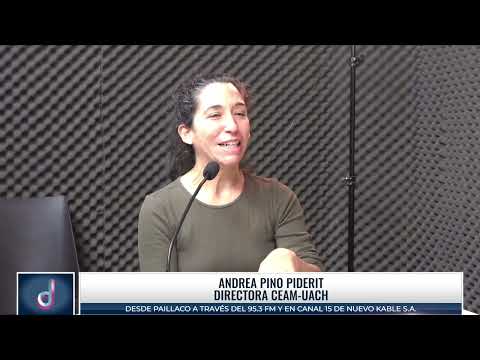 Andrea Pino Piderit - Entrevistas en Hora 13